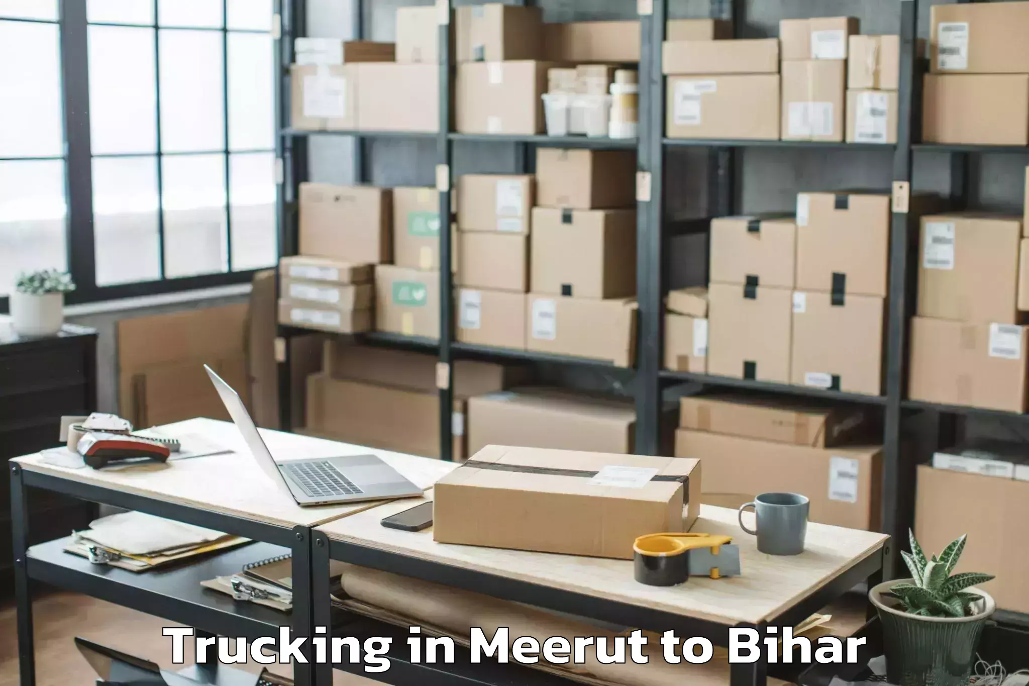 Book Meerut to Wazirganj Trucking Online